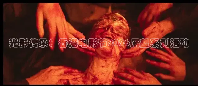 橘子视频免费观看电视剧大全